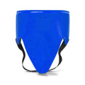 Blue Boxing Groin Guard with Padded Waist Protection – Sparring Protector